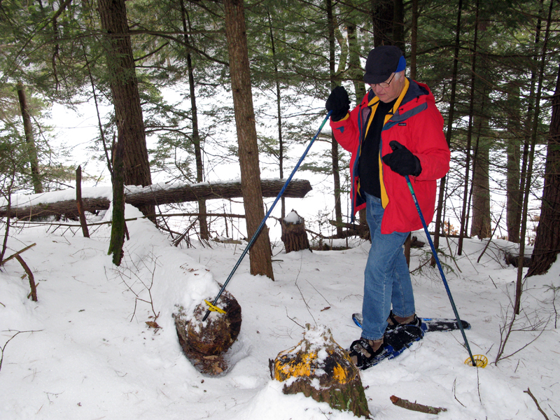 Beaver Loop Trail 2.jpg