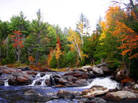 Water Falls