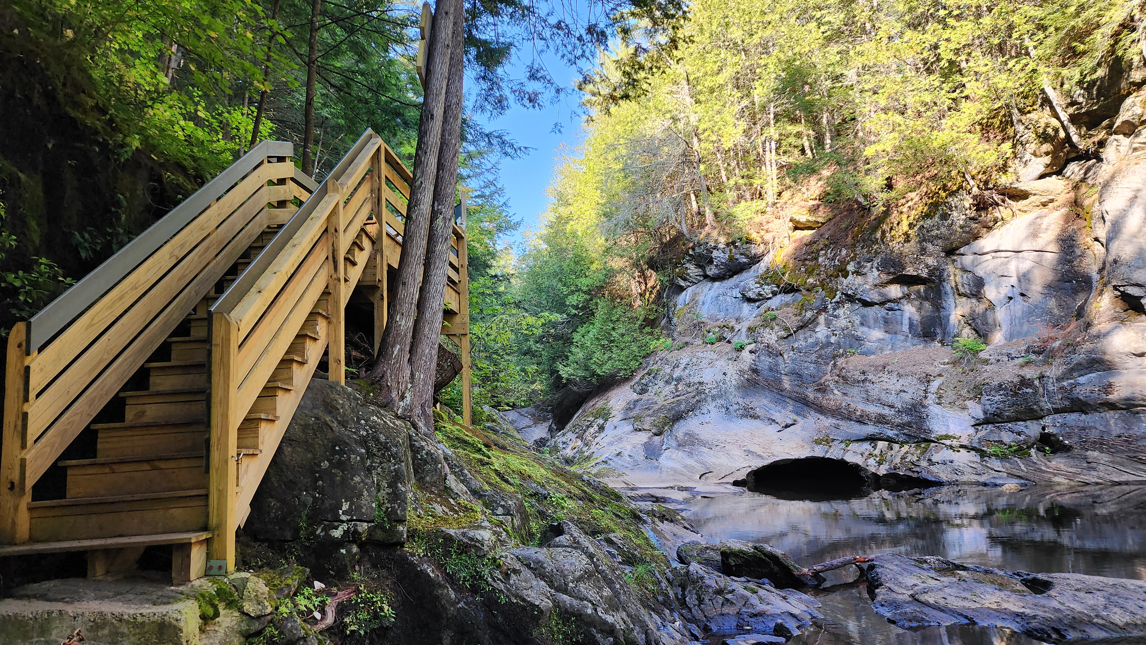 Looking up to Artists Gorge Artists Gorge